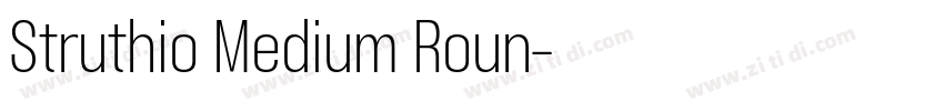 Struthio Medium Roun字体转换